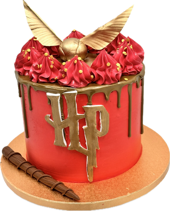 Harry Potter Cake