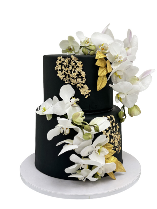 Birthday Cake Orchids