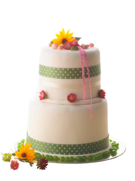 Sweet Sixteen Cake Quiet Teen