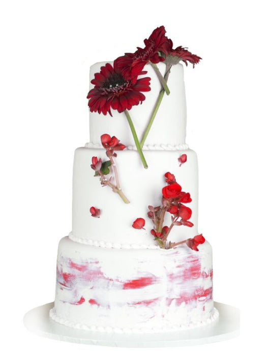 Wedding Cake Burgundy Gerbera
