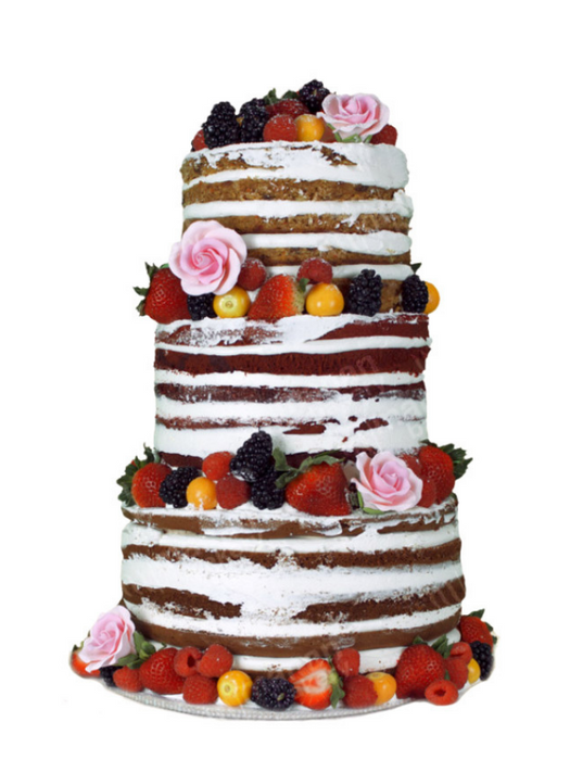 Fruit Delight Naked Cake